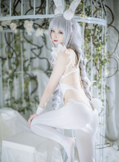 charlotte夏洛特