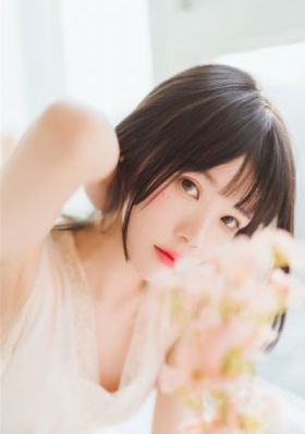 去有风的地方 电视剧免费观看