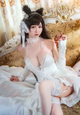 诗人电影高清完整免费观看